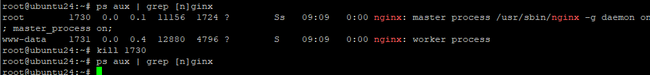 Завершение процесса по pid с помощью kill