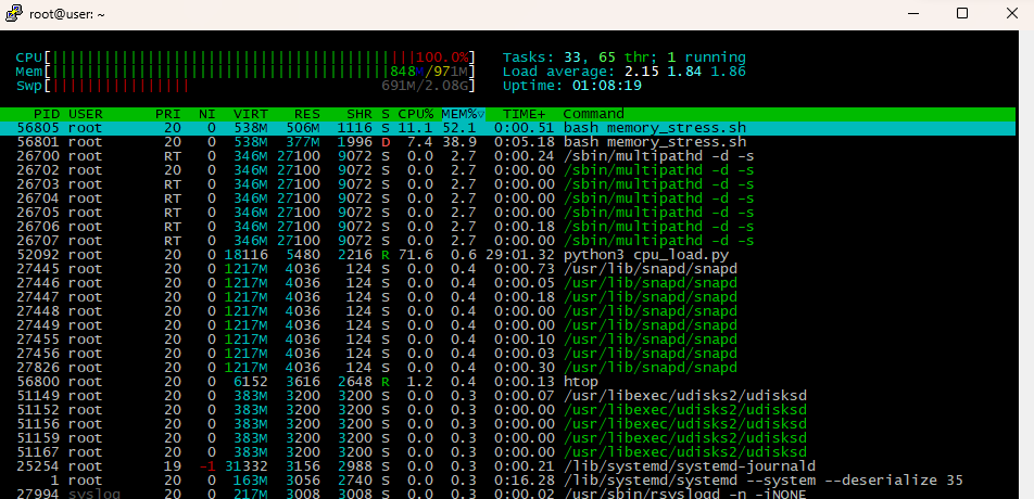 htop process list