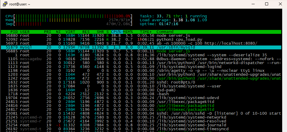 htop CPU load